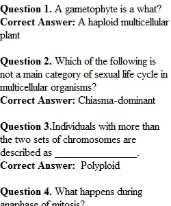 Week 9 Review Quiz